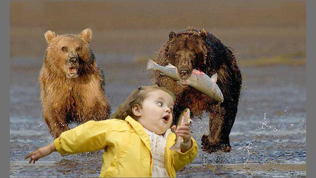 Running From Bears